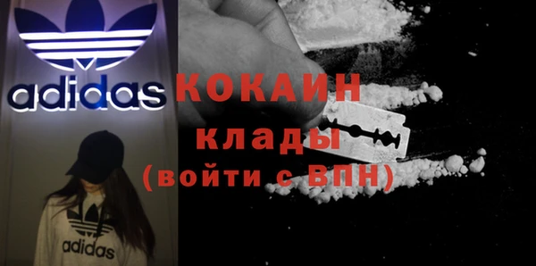 стаф Абаза