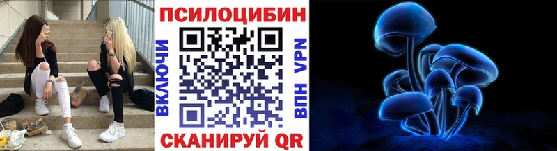 Псилоцибиновые грибы Psilocybe  OMG ТОР  Полтавская 